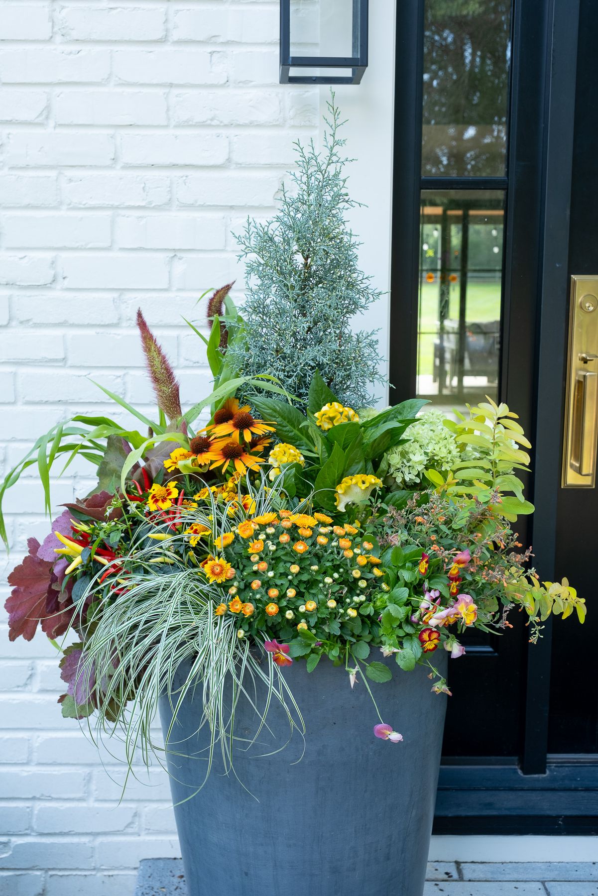 Enliven Planters fall container arrangement